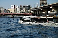 sumida river line 07